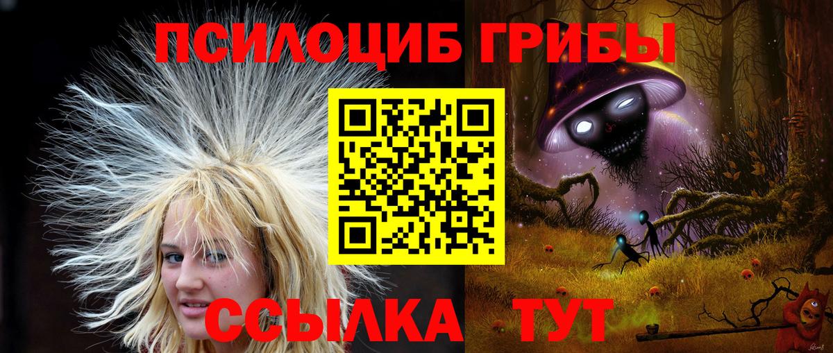 Галлюциногенные грибы Psilocybe Солнечногорск